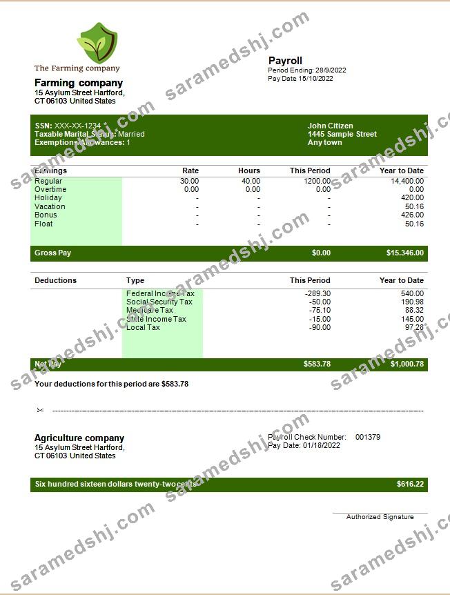 Farming company editable earning statement template in Word and PDF formats
